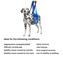 Dog Mid-bodyLift Harness（Medium / Large）05