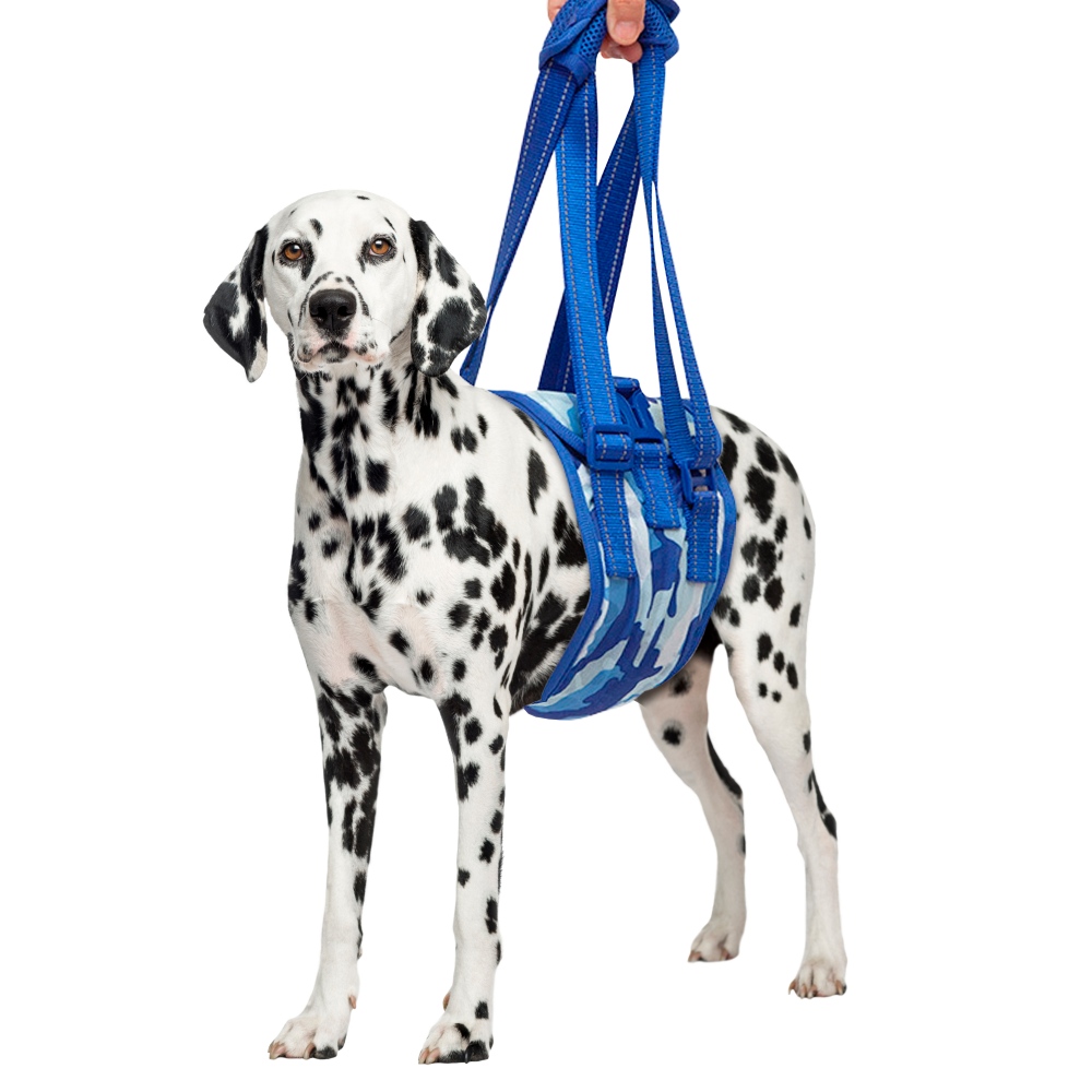 Dog Mid-bodyLift Harness（Medium / Large）00