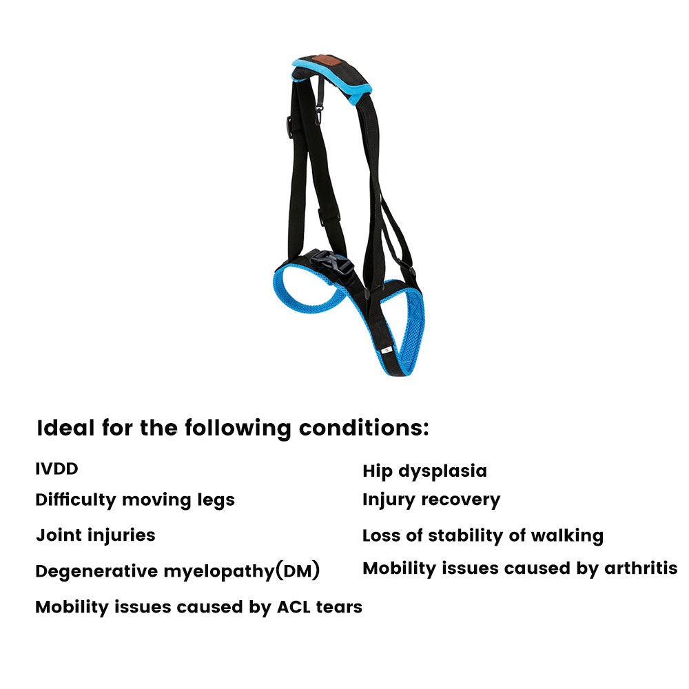 Dog Rear Harness Lifting with Handle03