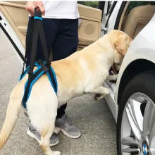 Dog Rear Harness Lifting with Handle10
