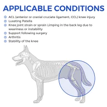 Dog Single Leg Brace02