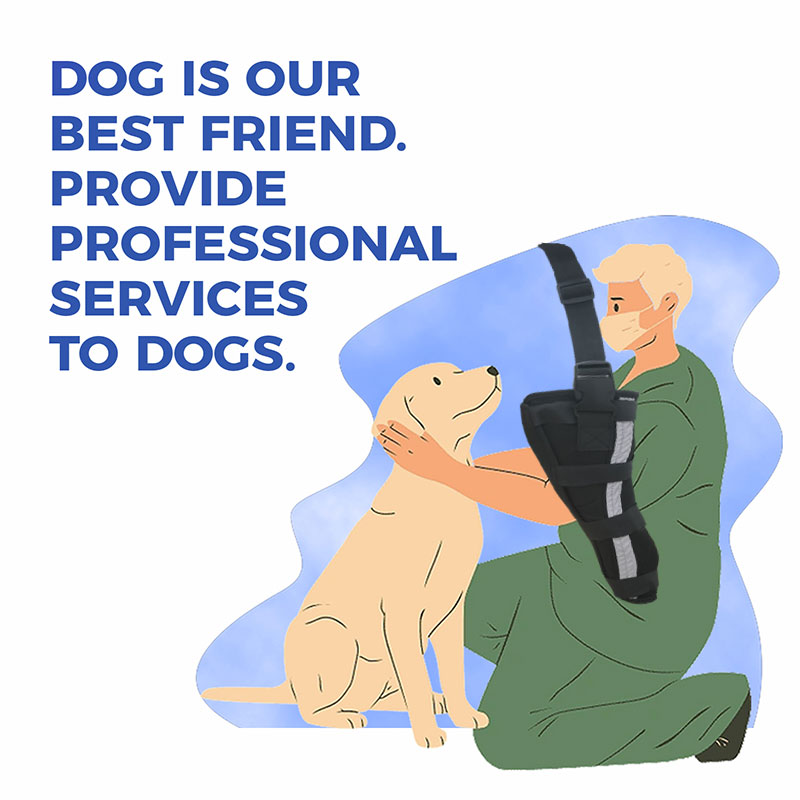 Dog Single Leg Brace05