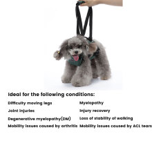 Dog Support Harness for Front Leg07