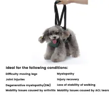 Dog Support Harness for Front Leg07