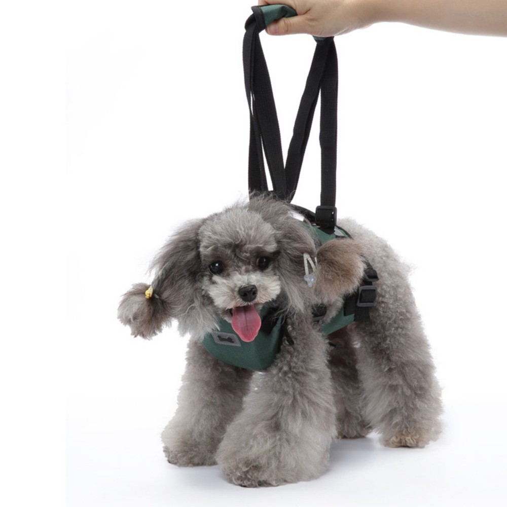 Dog Support Harness for Front Leg00