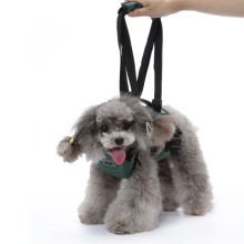 Dog Support Harness for Front Leg00