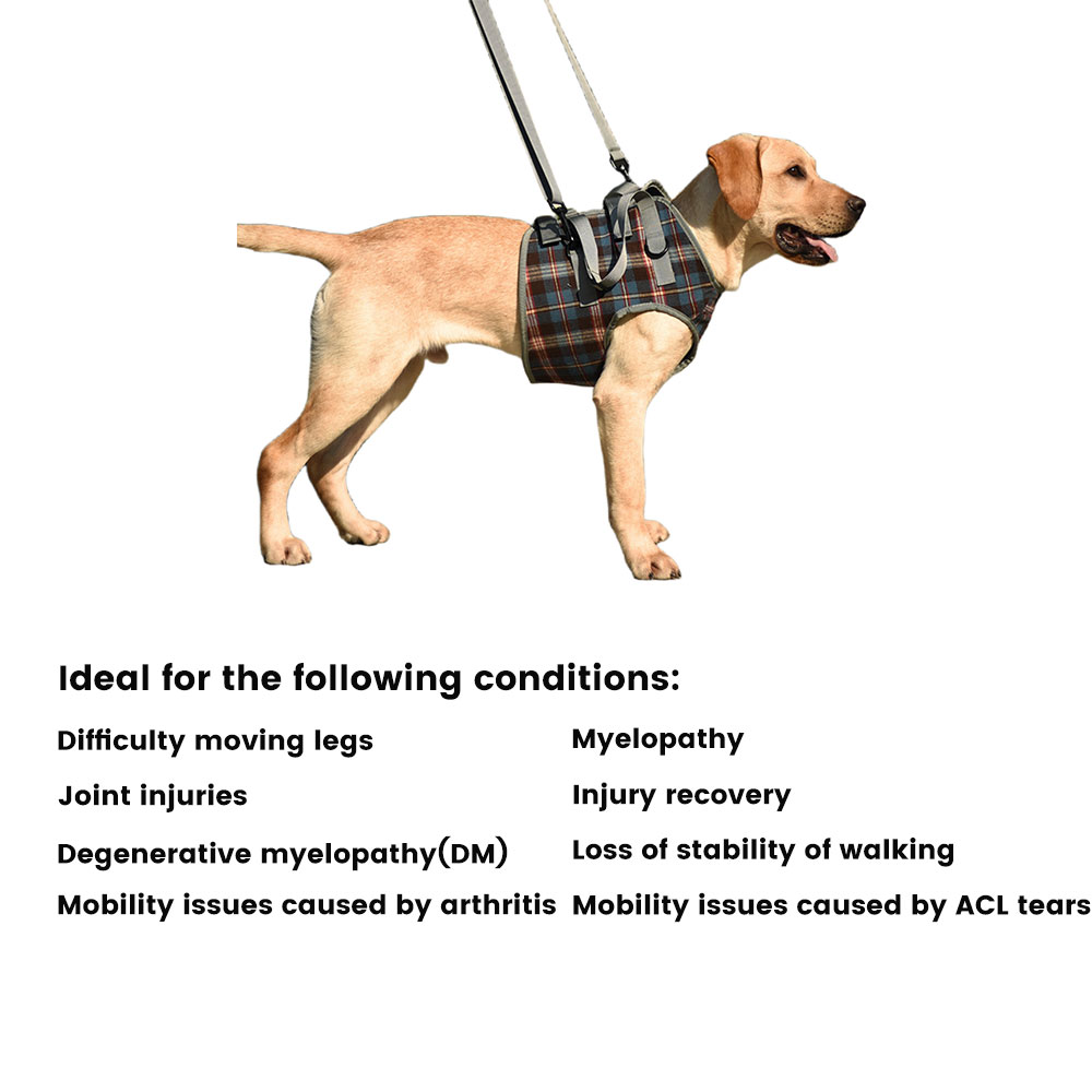Dog Support Harness Front End08