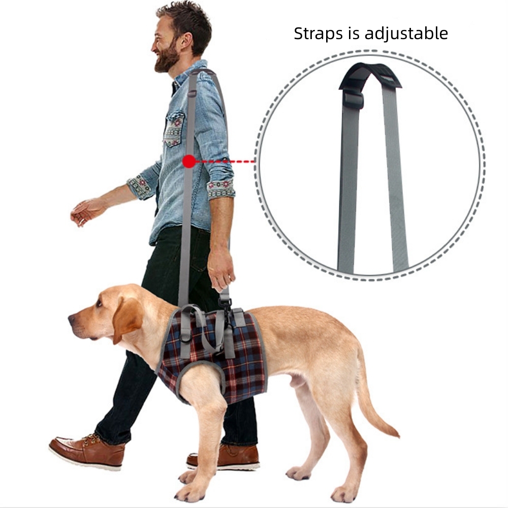 Dog Support Harness Front End07