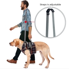 Dog Support Harness Front End07