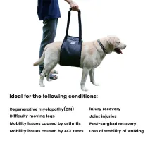 Dog Support Harness(Mid-body)07