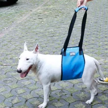 Dog Support Harness(Mid-body)02