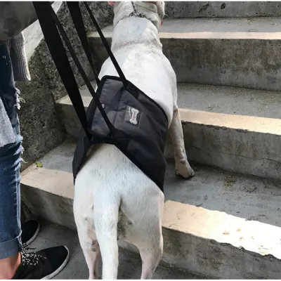 Dog Support Harness(Mid-body) 02
