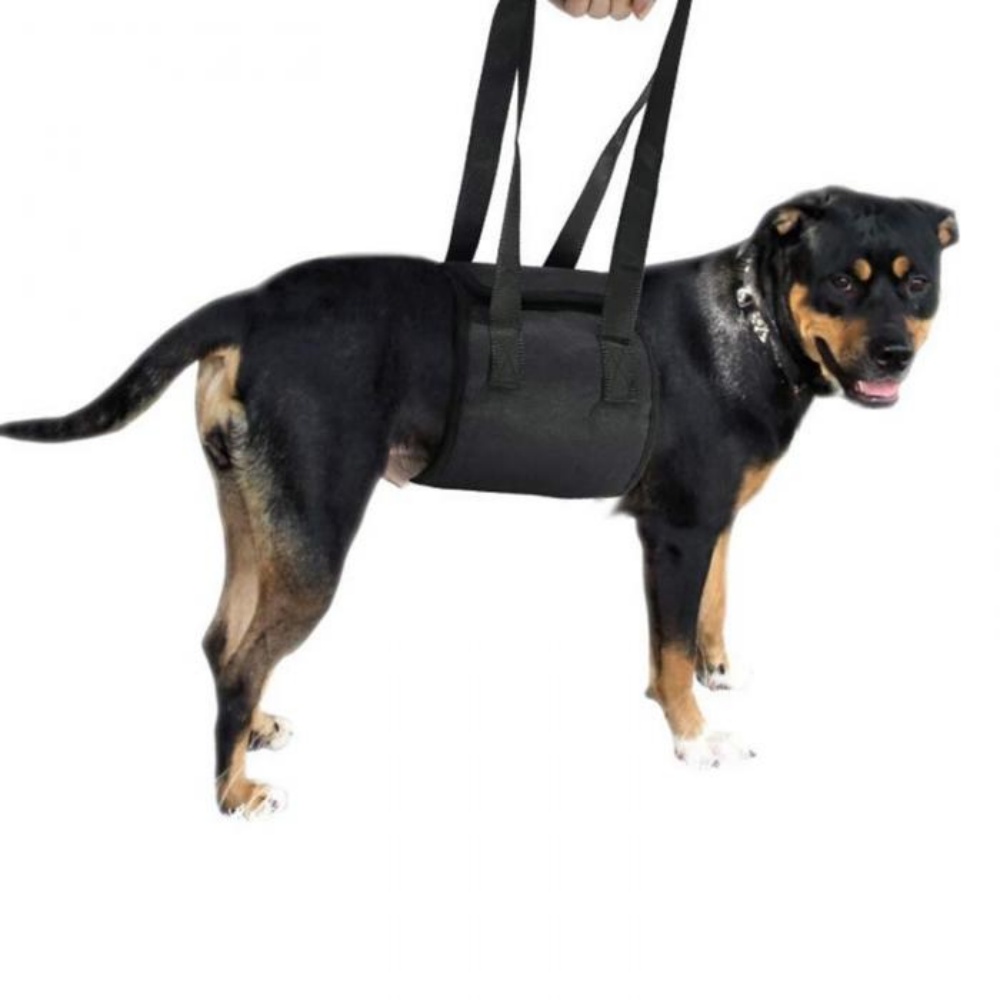 Dog Support Sling02