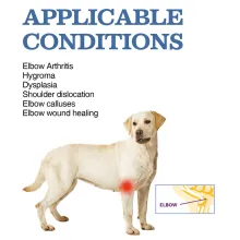 Labrador Elbow Support Brace04