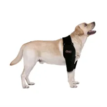 Labrador Elbow Support Brace00
