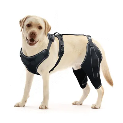 Metal Splint Hinge Dod Knee Brace for ACL 02