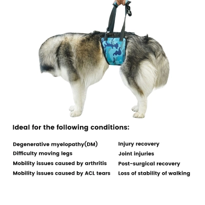Mid-Body Large Dogs Support Sling 02