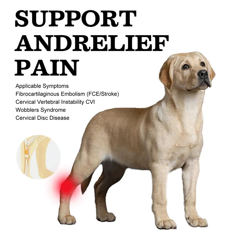 No Knuckling Training Sock For Dogs04
