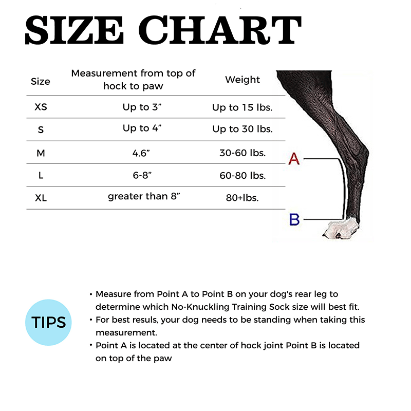 No Knuckling Training Sock For Dogs06