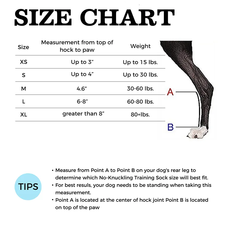 No Knuckling Training Sock For Dogs06