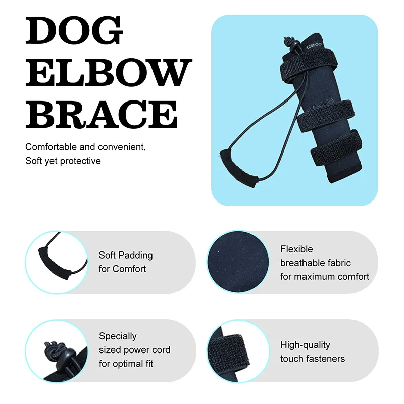 No Knuckling Training Sock For Dogs05