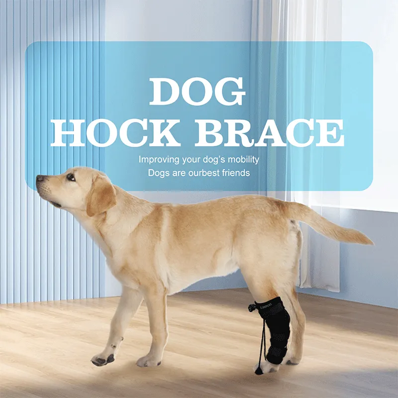 No Knuckling Training Sock For Dogs03