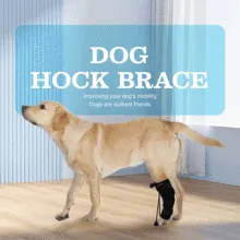 No Knuckling Training Sock For Dogs03