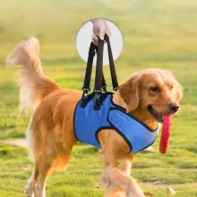 Oxford Front Leg Harness07