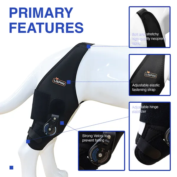 Adjustable Dog Acl Brace02