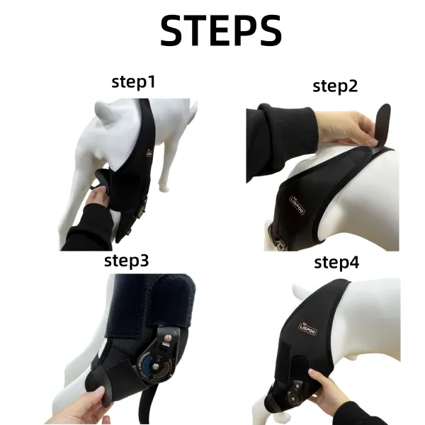 Adjustable Dog Acl Brace06