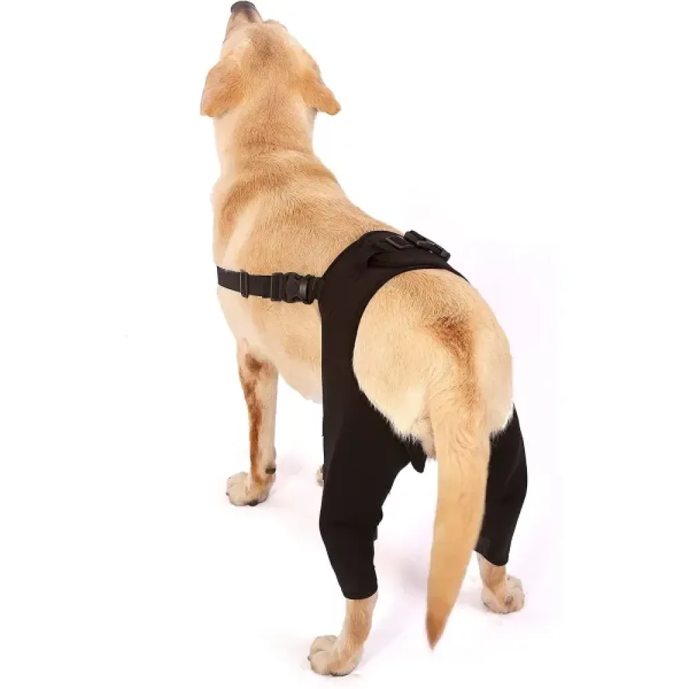 Dog Hind Legs Protector 01