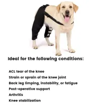 Dog Hind Legs Protector 14