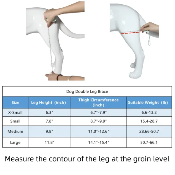 Dog Hind Legs Protector 12
