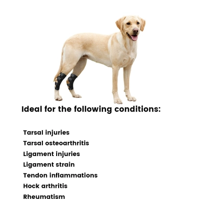 Dog Hock Wrap Braces Protector 02