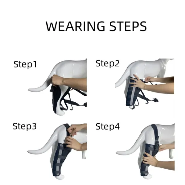 Dog Knee Brace Support  Acl08