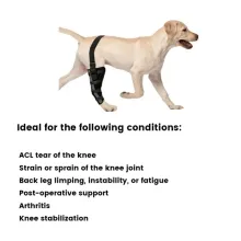 Dog Knee Brace Support  Acl09