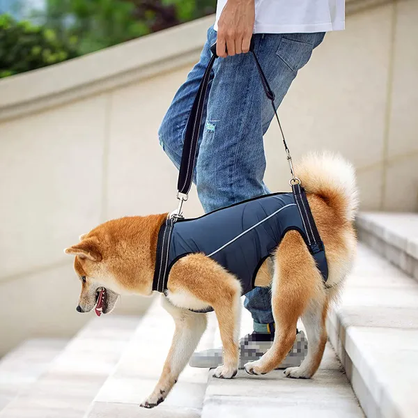 Dog Lift Harness Full Body Support01