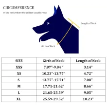 Dog Neck Support Brace02