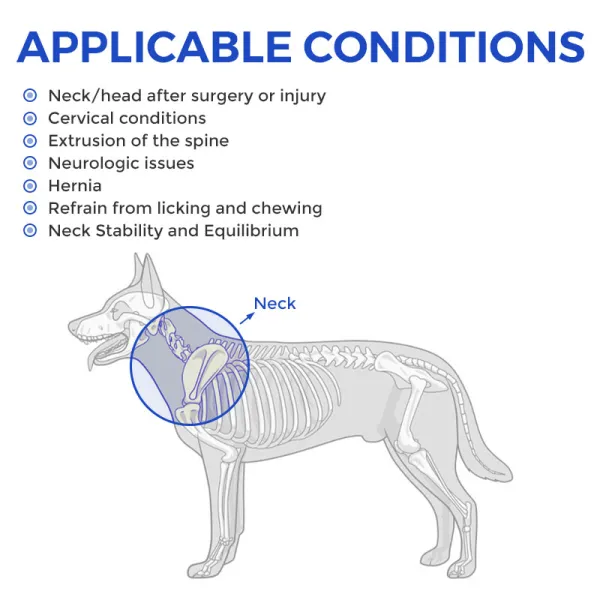 Dog Neck Support Brace03