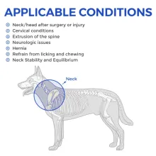 Dog Neck Support Brace03