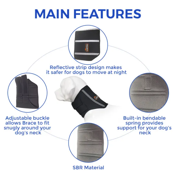 Dog Neck Support Brace04