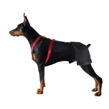 Doberman Pinscher Support Brace for Hip Dysplasia00