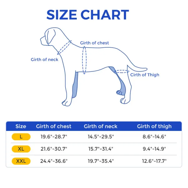 Doberman Pinscher Support Brace for Hip Dysplasia03