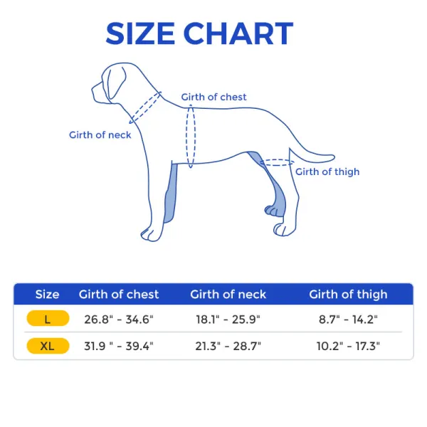 Doberman Pinscher Knee Brace for Patella Luxation 03