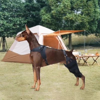 Doberman Pinscher Knee Brace for Patella Luxation  02