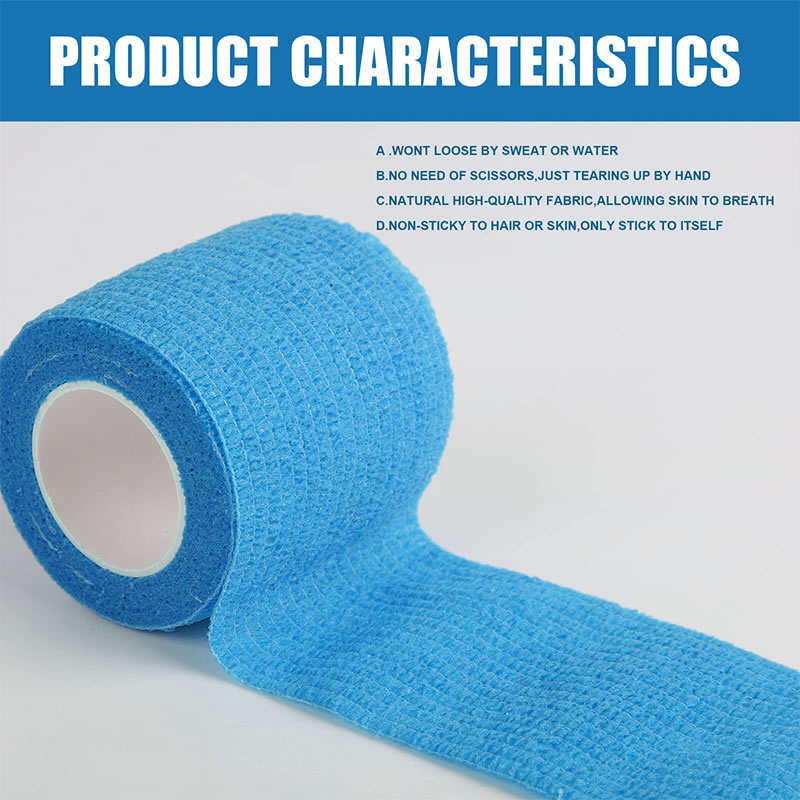 Dogs Adhesive Bandages03