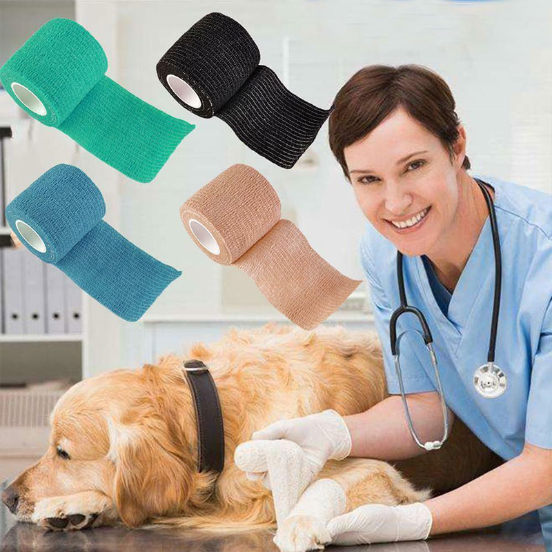 Dogs Adhesive Bandages05