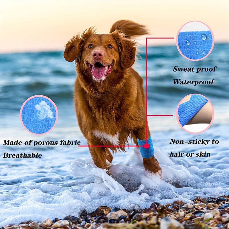 Dogs Adhesive Bandages02