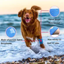 Dogs Adhesive Bandages02