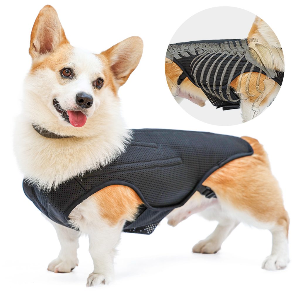 Hinged Canine Back Brace04
